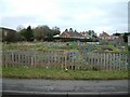 Hungerford  Allotments