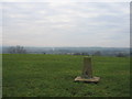 SP3251 : Trig point on Pittern Hill by David Stowell