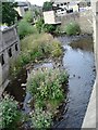 River Holme at Holmfirth