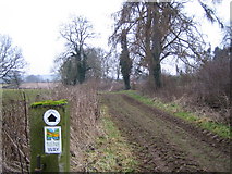 SP5958 : Nene Way footpath near Little Everdon by John Winterbottom