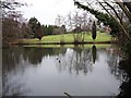 Lake at Sandling