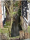 TQ7558 : Boxley Mill leat by Penny Mayes