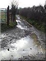 Byway on the North Downs