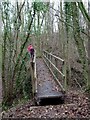 Footbridge Near Sortloes Farm