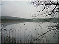 Loch of Craiglush in winter