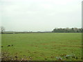 Farmland at Out Rawcliffe