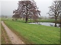 Pond on the Greensand Way