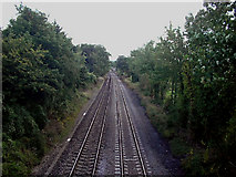 SO7803 : Railway line NW of Frocester by Phil Champion