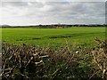 View towards Ruddington from Mill Lane