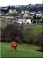 Low Farm and Thornhill Edge