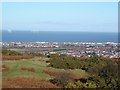 Graig Fawr View