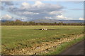 Trough in field off Pill Road