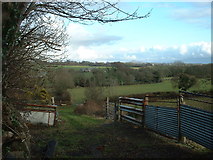 SH4538 : Farmland near Llanystumdwy by David Medcalf