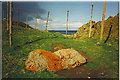 Fishing nets at Cove Bay