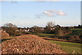 Silverton: the village from the north west