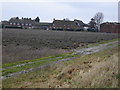 Lavender Farm near Hartley Mauditt