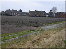 SU7335 : Lavender Farm near Hartley Mauditt by Graham Clutton