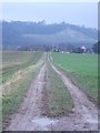 Footpath to the Old Reigate Road