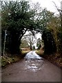 Lane to Hill Green Farm off Hemp Lane, Wigginton