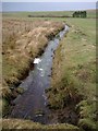 Minor tributary of the Greenock Water near Netherwood