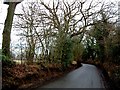 Hemp Lane, near Wigginton, looking East