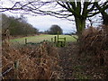 Footpath west of Radnor Hall Farm