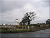 SJ7974 : Crossroads and field boundary near Over Peover by Andrew Dann