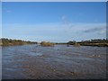 River Tweed - Floods of January 2005