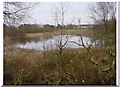 NY0533 : Pond at Broughton Moor by Bob Jenkins