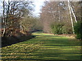 Track beside Virginia Water