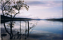 NN6558 : Loch Rannoch by Dave Fergusson