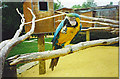 Birdworld, SW of Farnham