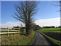 Country lane, Roxwell