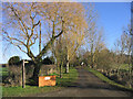 Bridleway near Roxwell