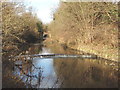 River Crane, Hounslow