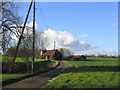 Farm track, Farmbridge End, Essex