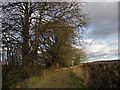 Ridgeway near Lewknor