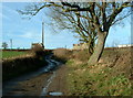 Frank Lane towards Leys Farm, Emley