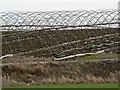 Polytunnel frames