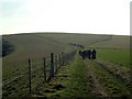 TQ4504 : Downland walk by David Saunders