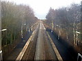 SJ6590 : Railway Track, Birchwood Railway Station by Nigel Homer