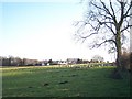 Footpath to Crick