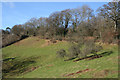 Cadeleigh: the road from Bickleigh