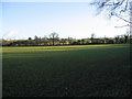 Field near Bumble