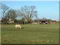 Stables at Preesall