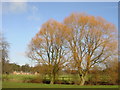 Riding Stables, Croxteth Country Park.