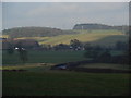 Green Fields near The Lymes