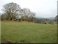 Cottage near Calder Vale