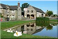 The Duck Pond, Hartington, Derbyshire.