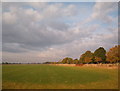 Coolham Advance Landing Ground (now disused)